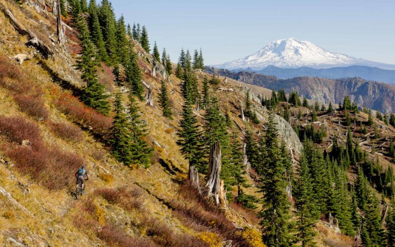 Trans Cascadia Mountain Bike Excursions